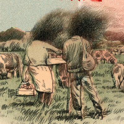 NIños del Cerro