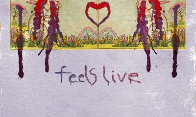 Animal Collective Performs Feels Live