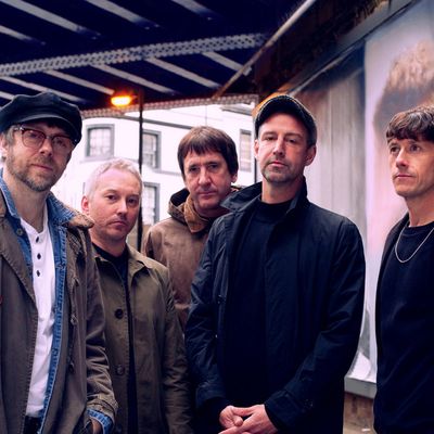 The Rifles